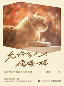 Allow Yourself to Be Like a Cat