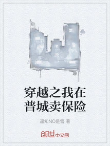 Time Travel: I Sell Insurance in Pucheng