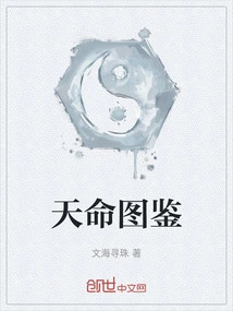 Destiny Illustrated Book