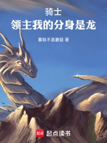 Lord Knight: My Clone is a Dragon