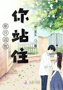 That Border Collie, Stop Right There