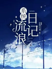 System Wandering Diary