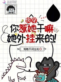 Kuai Chuan: Why Did You Mess with Her? She Came as a Plug-in!