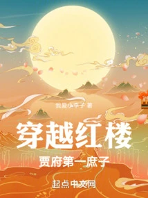 Through the Red Mansion: the First Bastard of the Jia Family