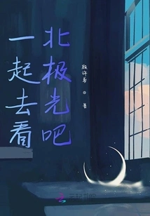 Let's Go See the Northern Lights Together