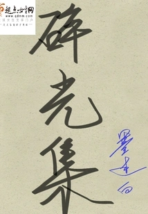 Broken Light Collection