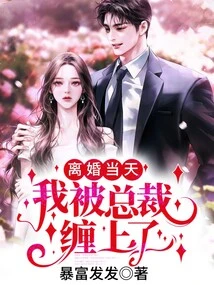 On the Day of the Divorce, I Was Pestered by the Ceo