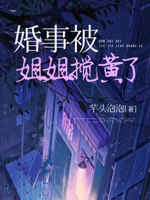 The Marriage Was Disturbed by My Sister