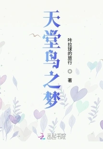 Bird of Paradise Dream