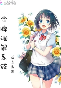 Gold Medal Mediation System