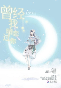 I Once Had a Crush on You