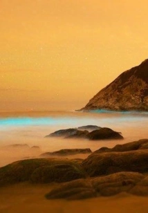 The Legend of Roar: Mo An