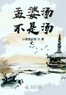 Mengpo Soup is Not a Soup