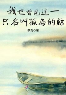 I Also Saw a Whale Named Lonely Island