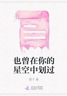 I Also Flew Across Your Starry Sky