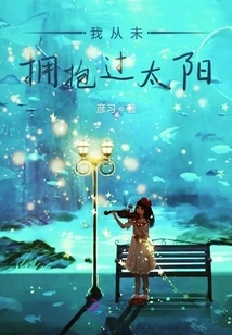 I Have Never Embraced the Sun