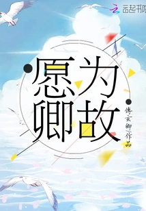 I Would Like to Do it for You