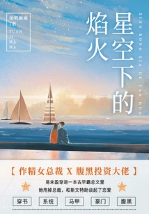 Fireworks under the Starry Sky (volume 2)