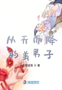 A Handsome Man Fell from the Sky