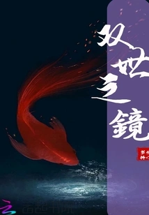 Mirror of Two Worlds