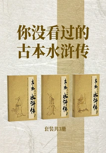 The Ancient Version of Water Margin That You Haven't Read (set of 3 Volumes in Total)