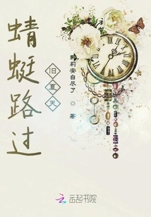 Dragonfly Passing by Old Summer