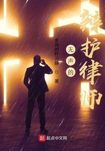 Silent Defense Lawyer