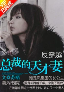 Anti-travel, the Ceo's Genius Wife