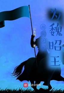 I Am King Zhao of Wei in the Warring States Period