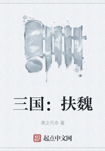 Three Kingdoms: Support Wei