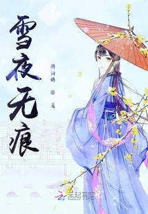 Snowy Night Without Trace