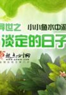 Calm Days in Another World