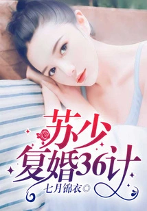 Mr. Su's 36 Strategies for Remarrying