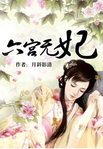 No Concubine in the Sixth Palace