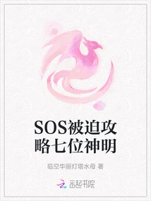 Sos Was Forced to Conquer the Seven Gods
