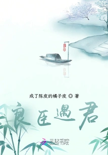 A Good Minister Meets the King