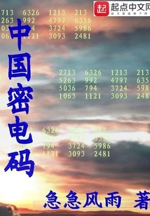 Chinese Secret Code