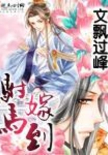 The Prince-in-law Got Married