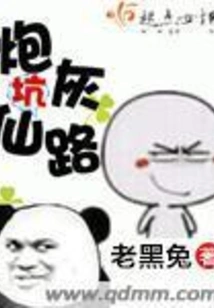 Cannon Fodder Pit Fairy Road