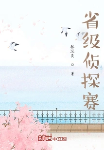 Provincial Detective Competition