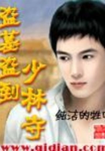 Tomb Robbers Robbed Shaolin Temple