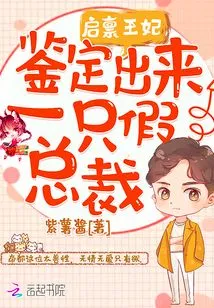 Princess Qi: a Fake Ceo Was Identified