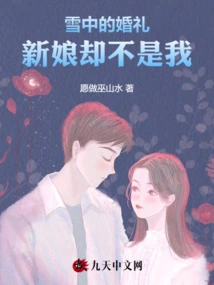 Wedding in the Snow, the Bride is Not Me