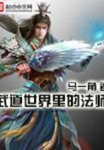 Mage in the World of Martial Arts
