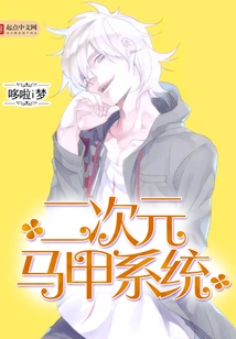 Dimensional Vest System