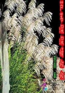 Reed is Deeply in Love