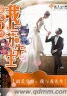 Doting and Fighting Marriage Me and Mr. Su