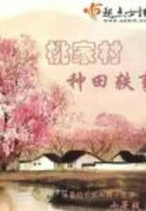 Anecdotes About Farming in Taojia Village