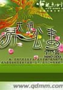 The First Princess of the Qing Dynasty