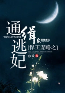 The Strategy of the Fierce King: Wanted Fugitive Concubine